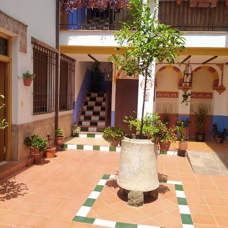 Apartamento Patio De San Lorenzo Vft/Co/00990 Córdoba Exteriör bild